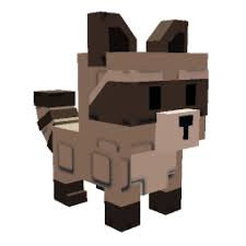Raccoon